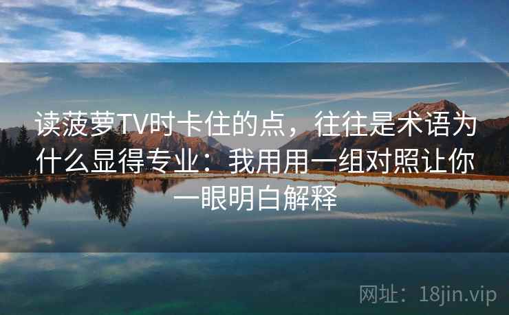 读菠萝TV时卡住的点,往往是术语为什么显得专业:我用用一组对照让你一眼明白解释 读菠萝TV时卡住的点,往往是术语为什么显得专业:我用用一组对照让你一眼明白解释