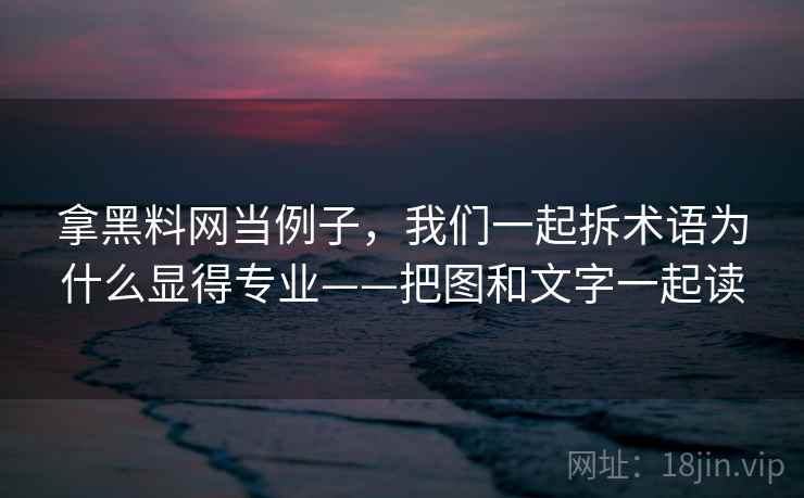 拿黑料网当例子，我们一起拆术语为什么显得专业——把图和文字一起读